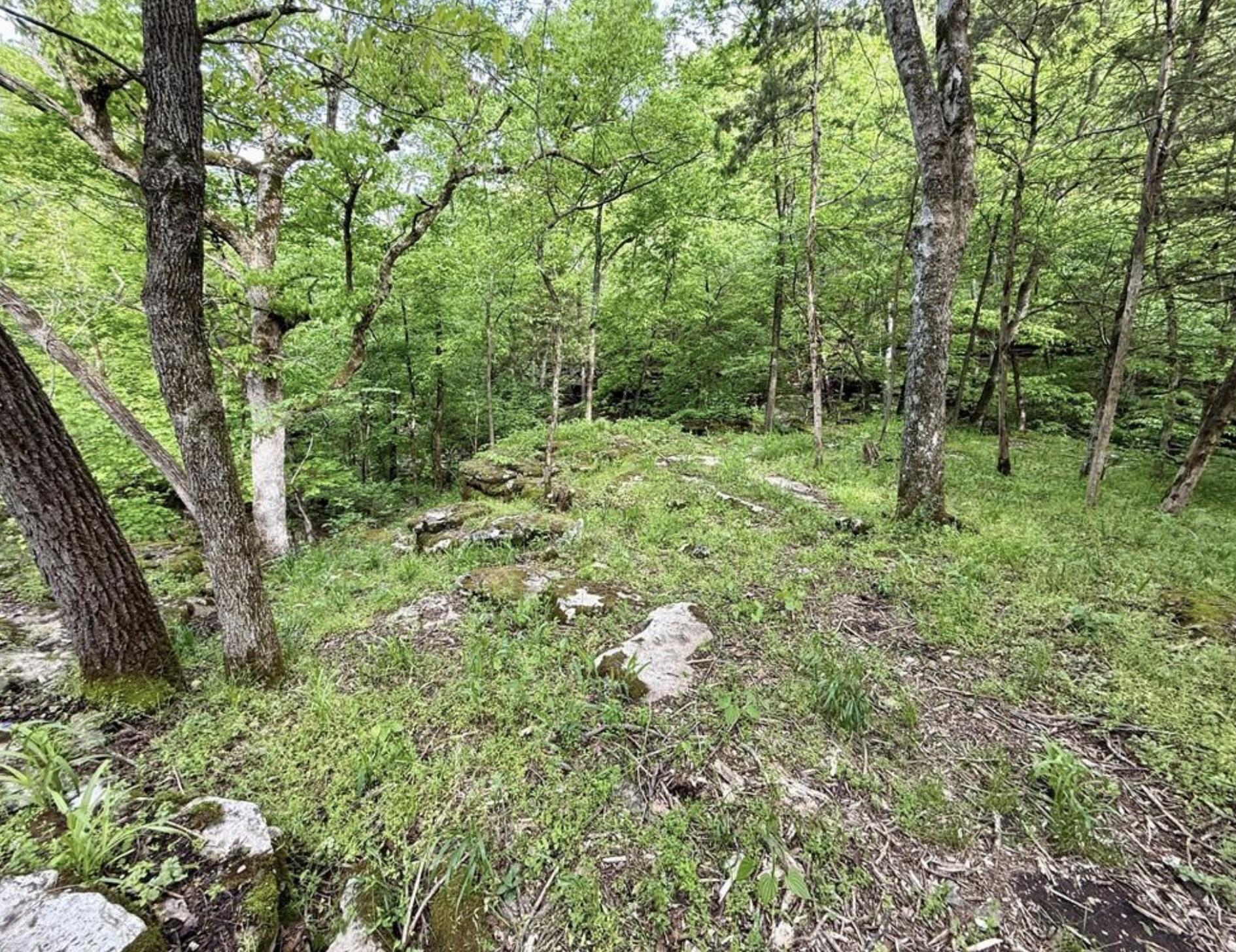 000 Horton Road Property Photo 6