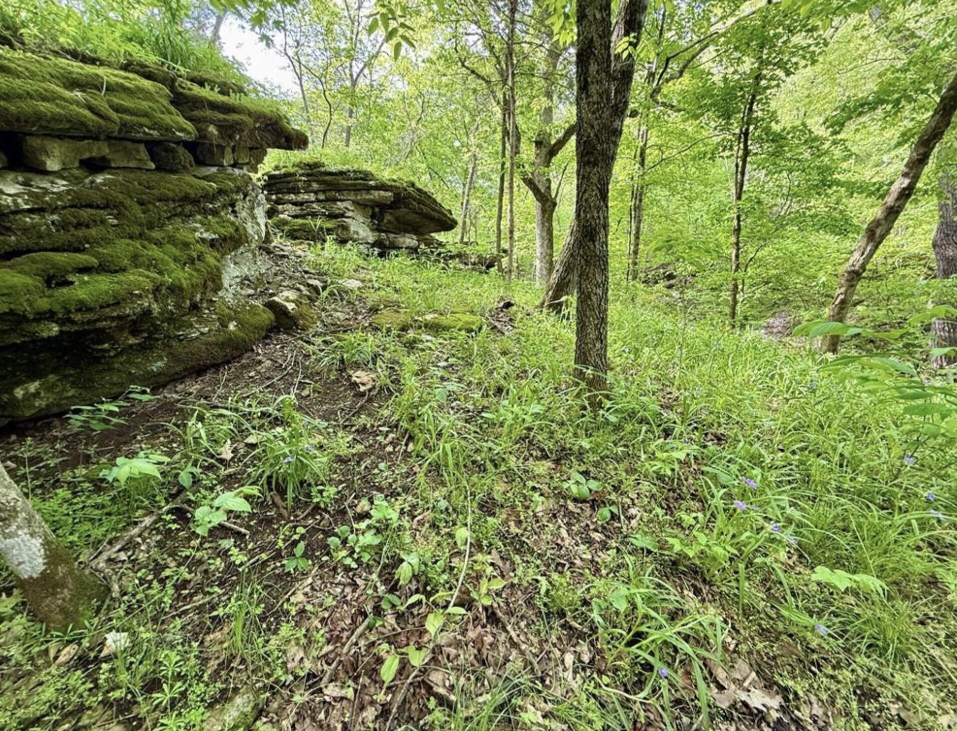 000 Horton Road Property Photo 11