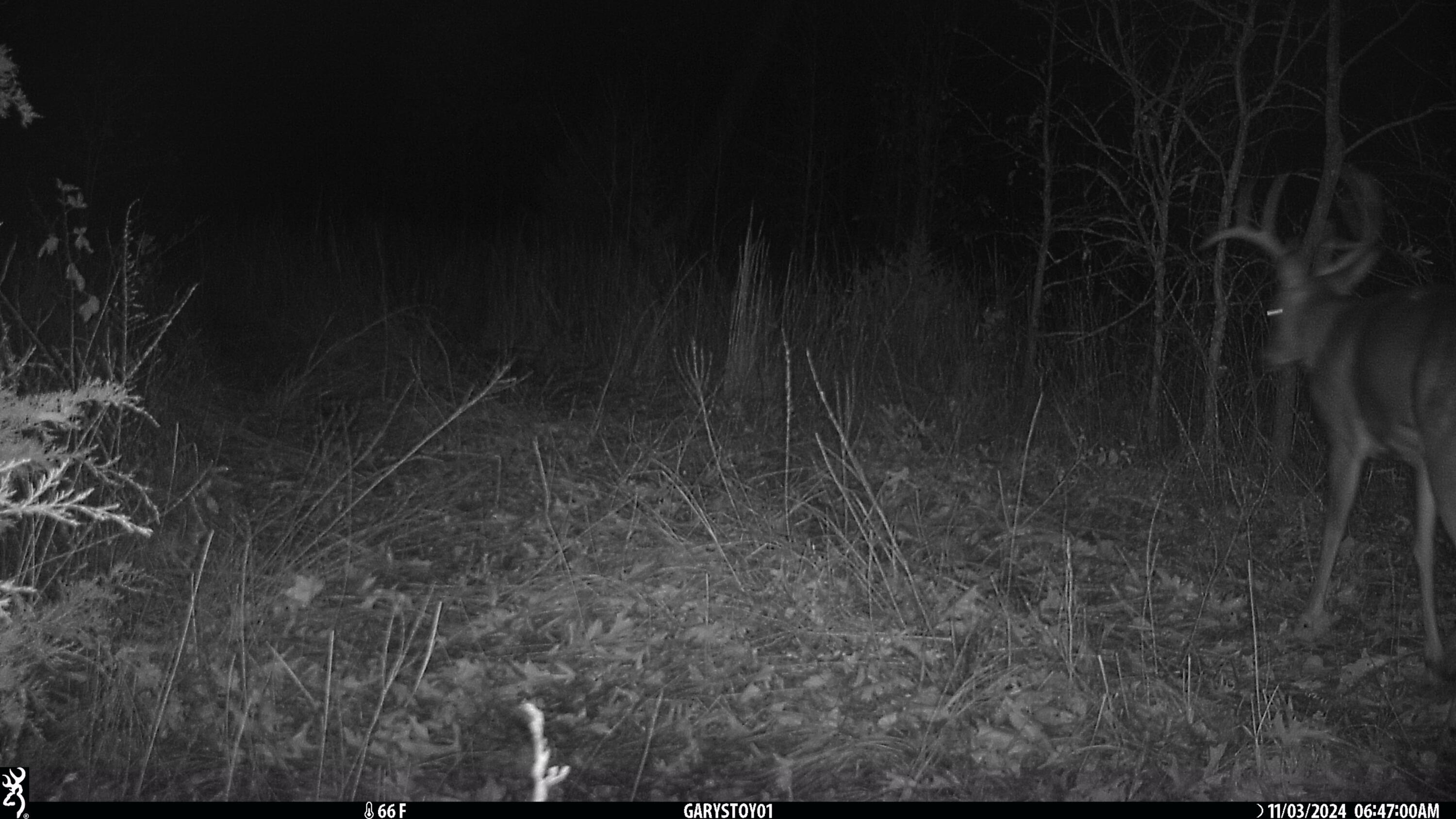 000 Horton Road Property Photo 16
