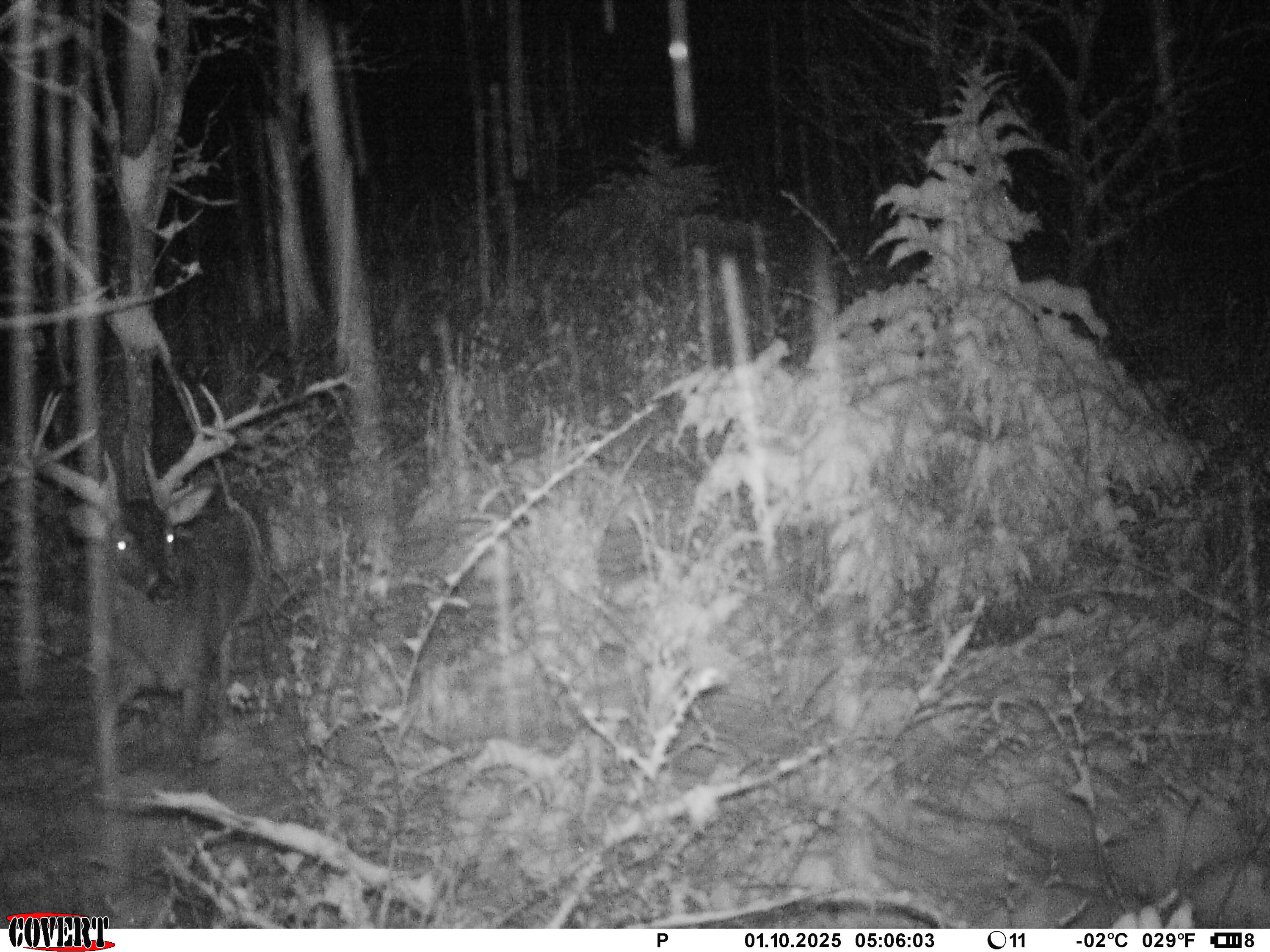 000 Horton Road Property Photo 17