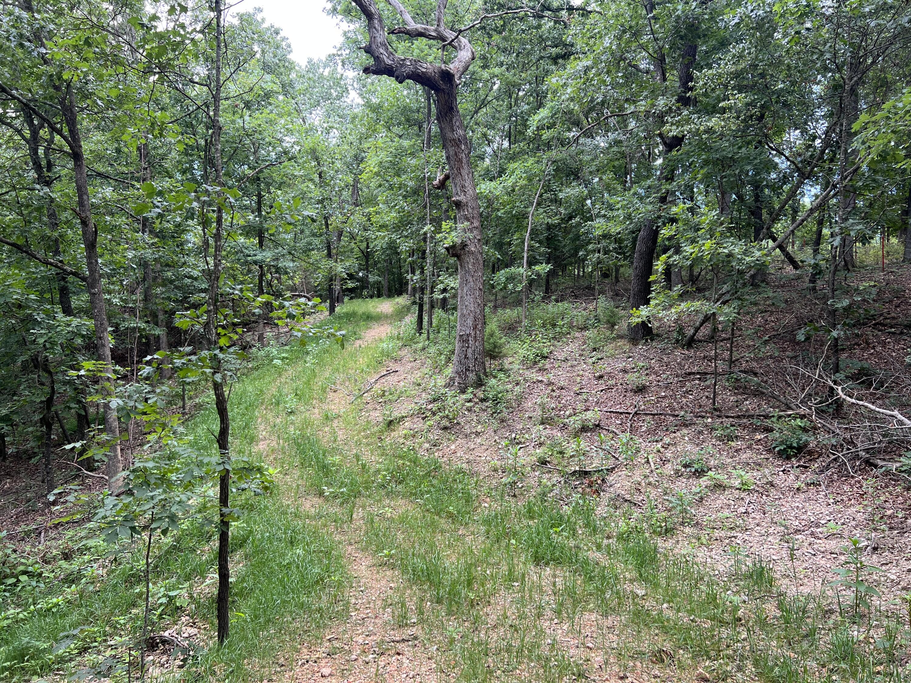 000 Horton Road Property Photo 22