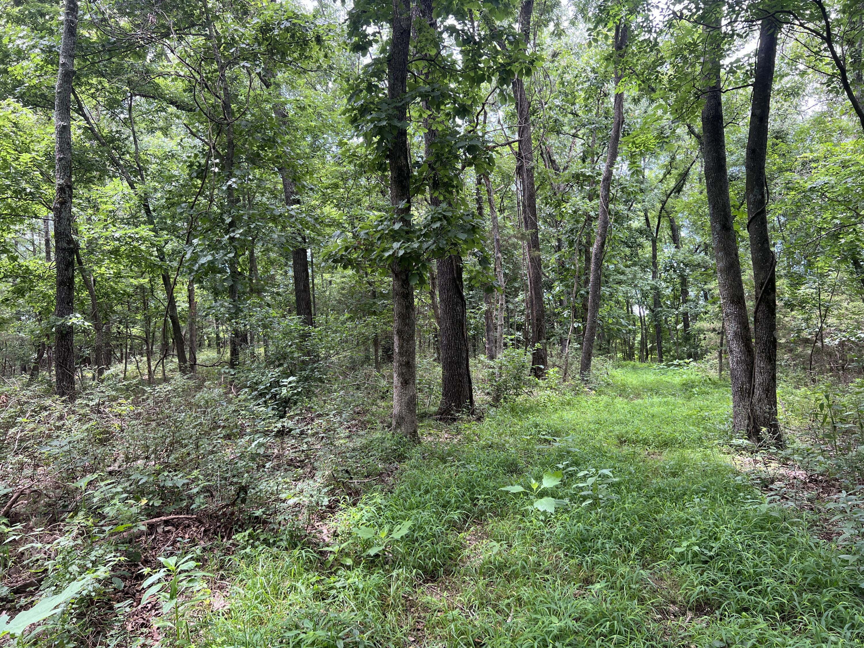 000 Horton Road Property Photo 34