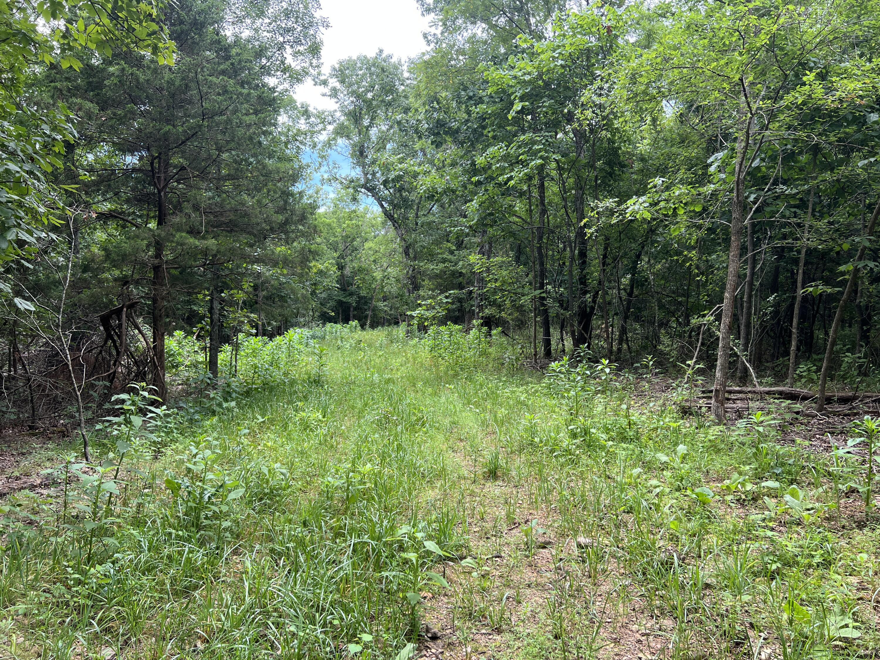 000 Horton Road Property Photo 35