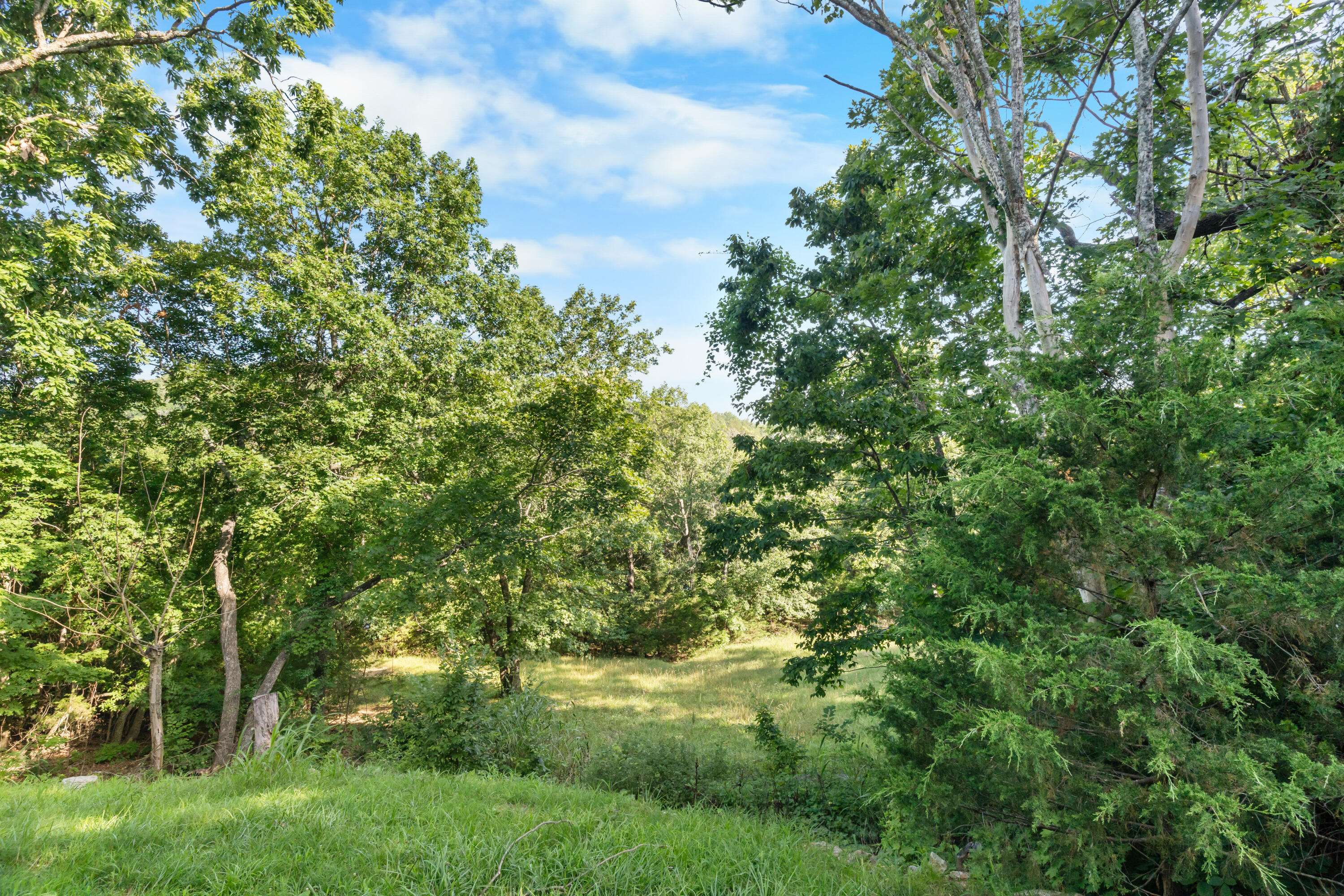 1829 Pokeberry Lane Property Photo 54