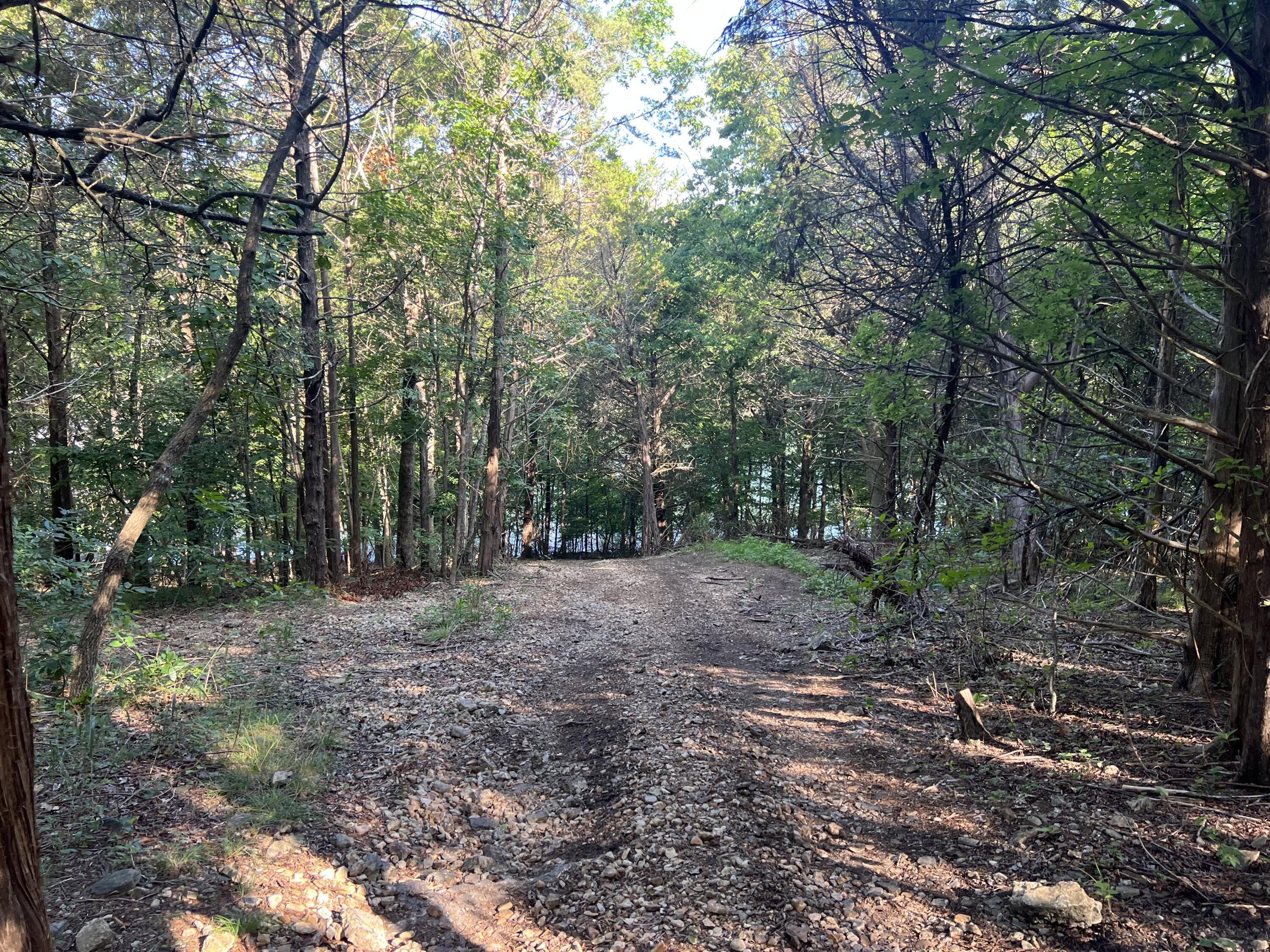 1829 Pokeberry Lane Property Photo 61