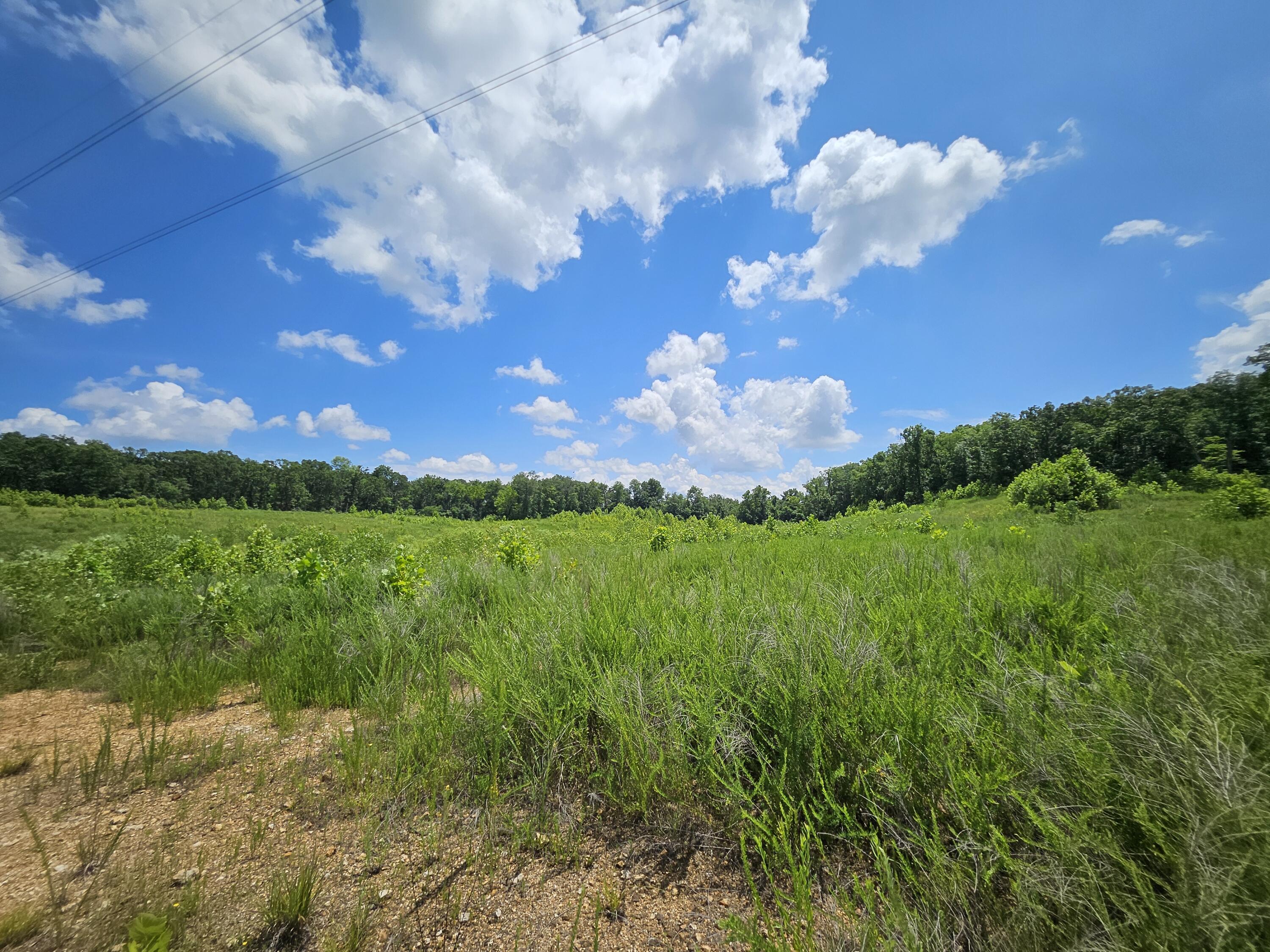 000 Dogwood Lane Property Photo 10