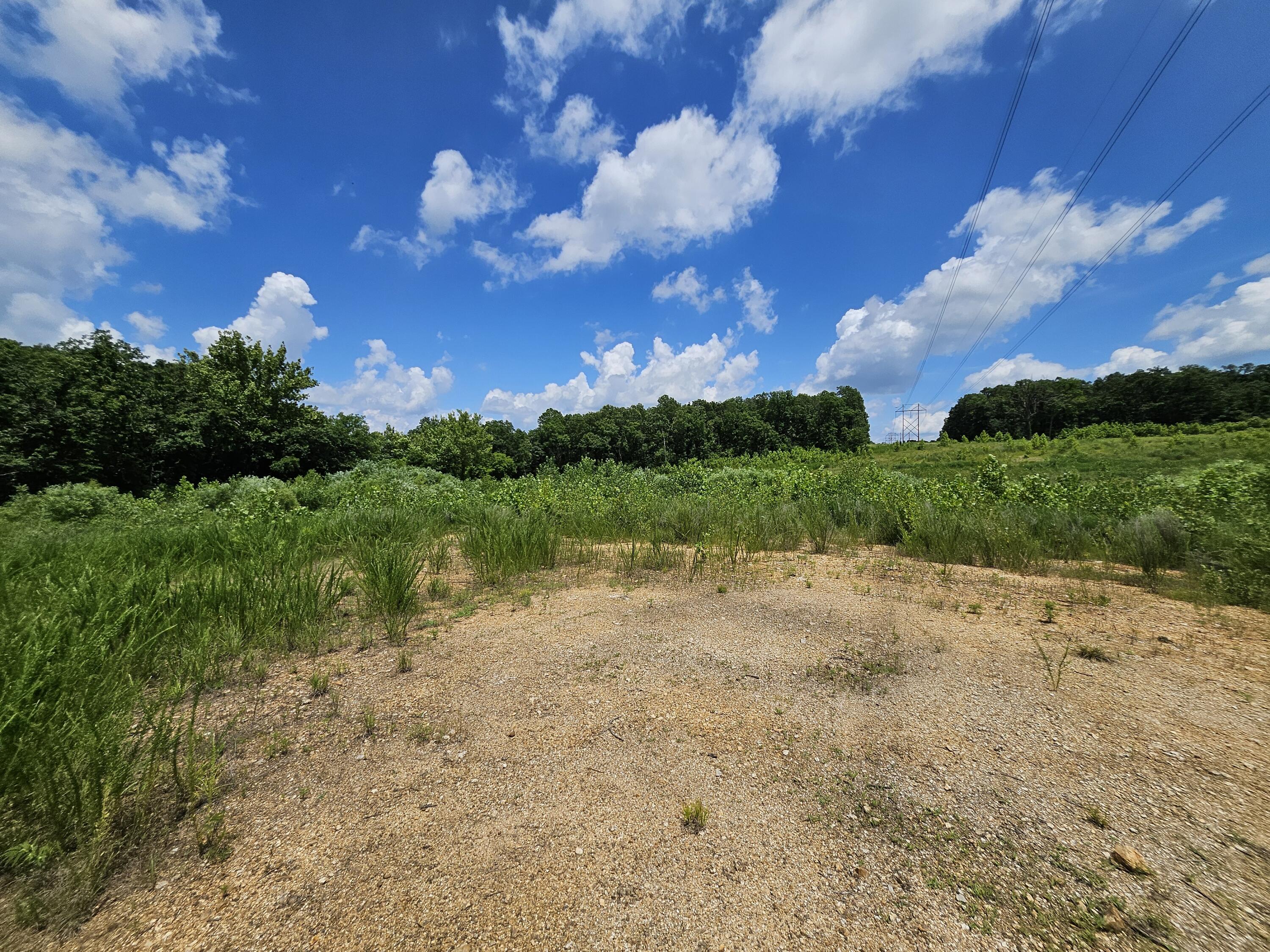 000 Dogwood Lane Property Photo 11