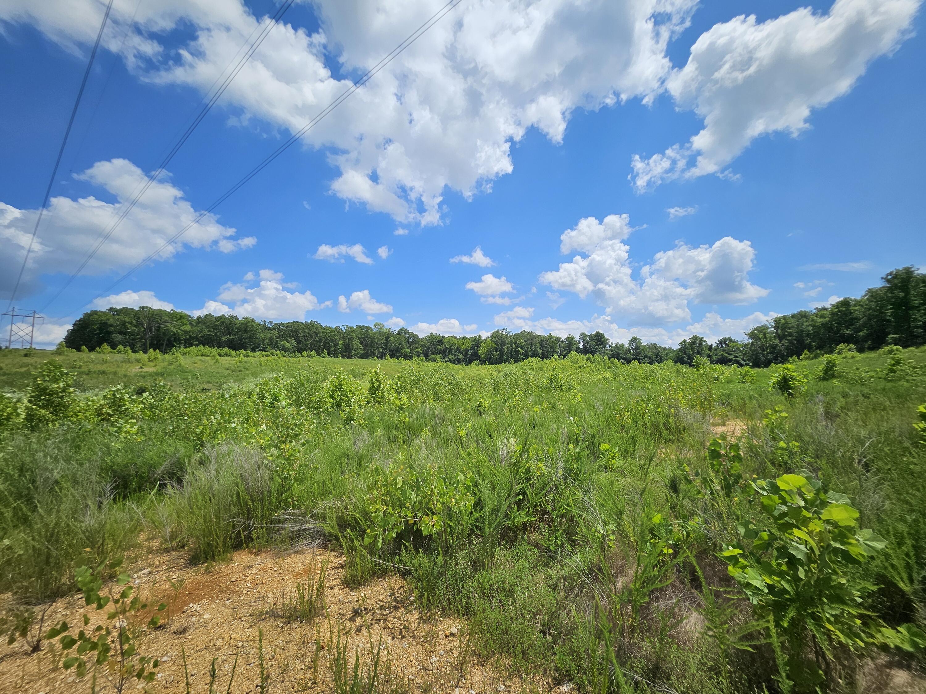 000 Dogwood Lane Property Photo 13