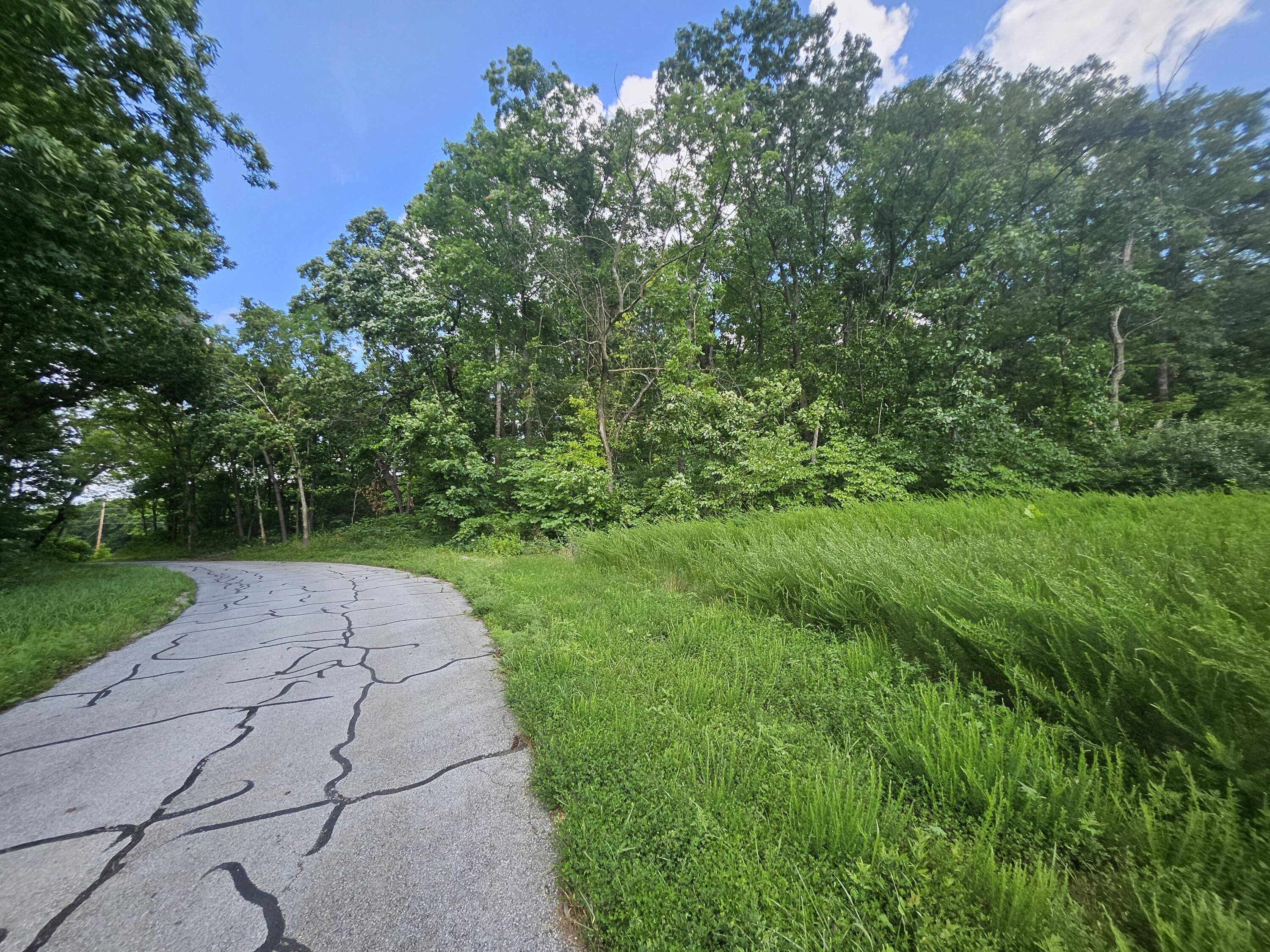 000 Dogwood Lane Property Photo 17