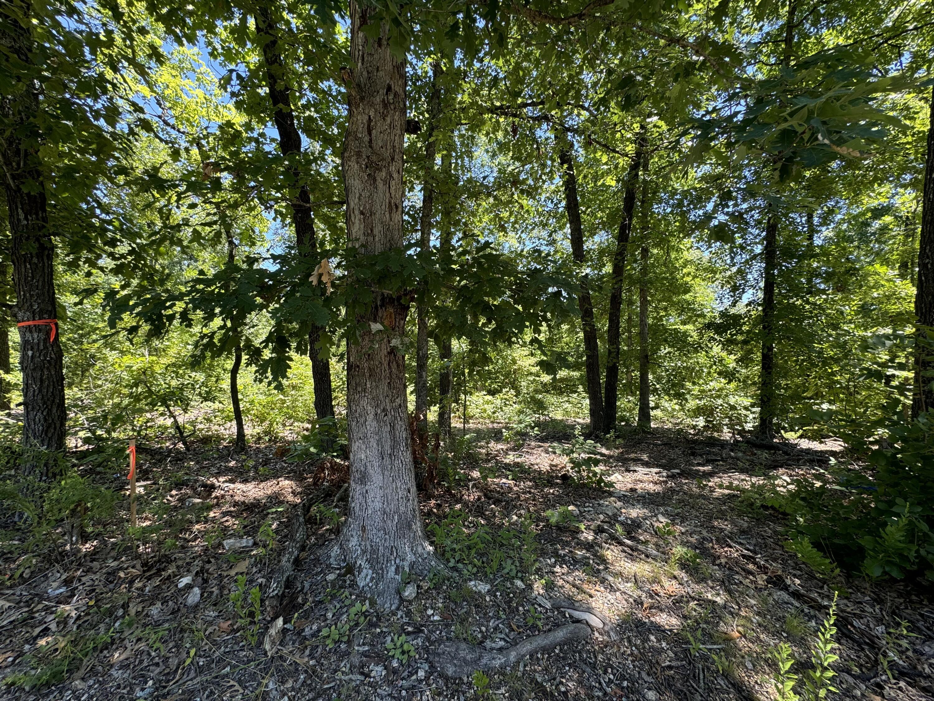 Tbd State Highway 14 E Property Photo 3