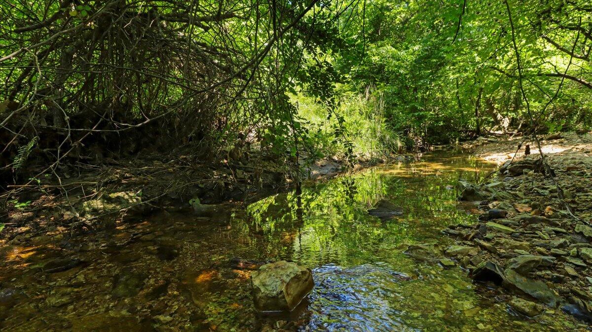 000 County Road 76-114 Property Photo 2