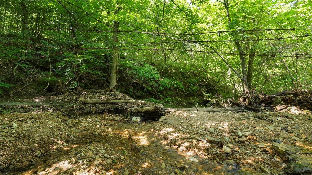 000 County Road 76-114 Property Photo 4