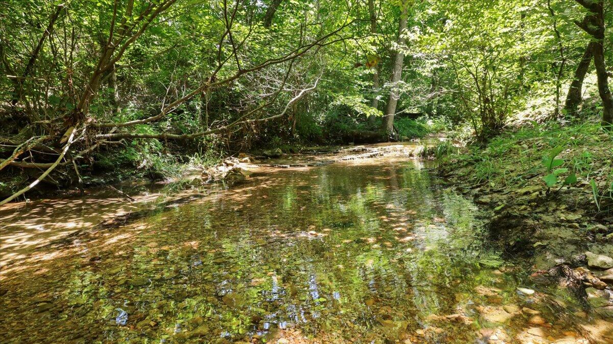 000 County Road 76-114 Property Photo 5