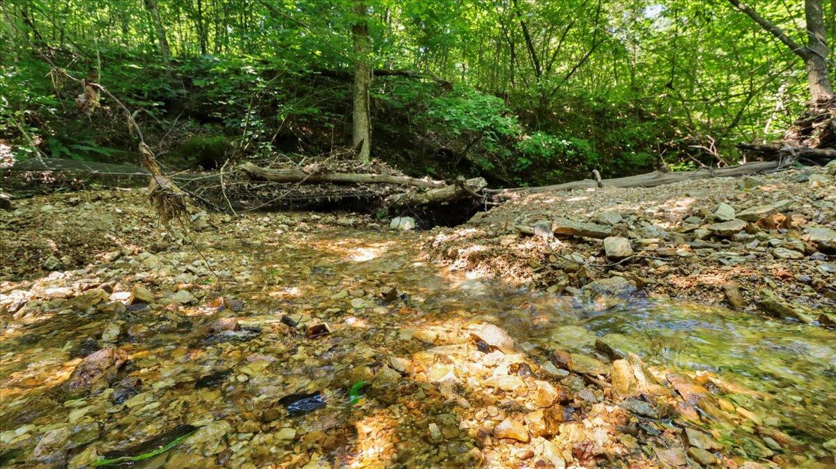 000 County Road 76-114 Property Photo 6