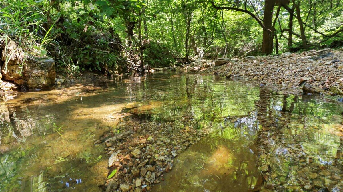 000 County Road 76-114 Property Photo 7