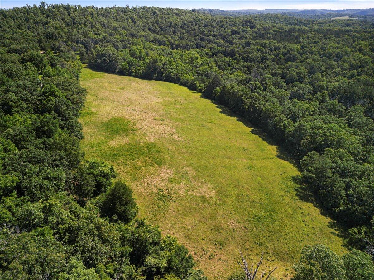 000 County Road 76-114 Property Photo 8