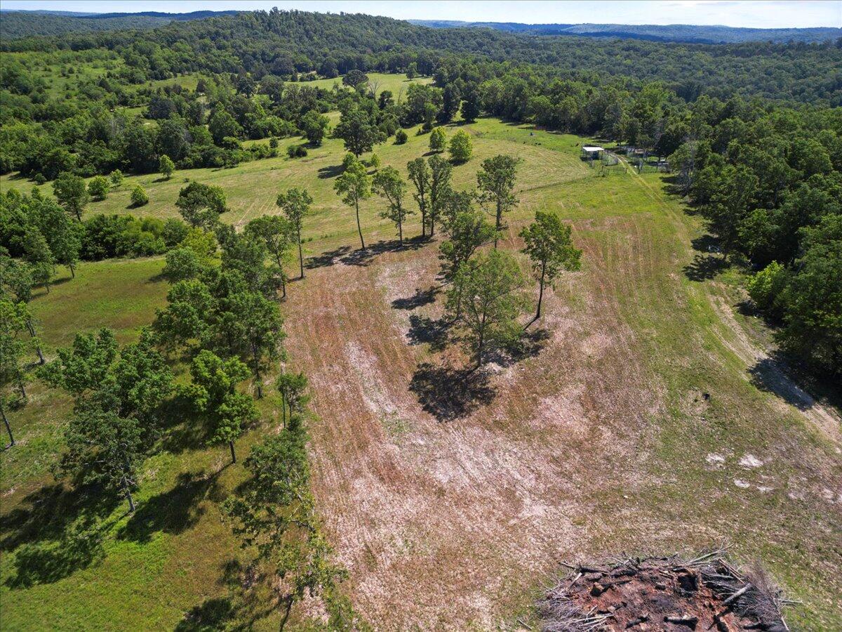 000 County Road 76-114 Property Photo 9