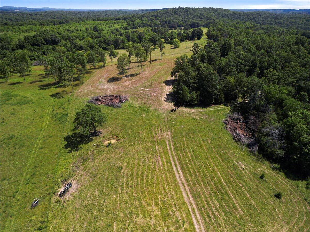000 County Road 76-114 Property Photo 11