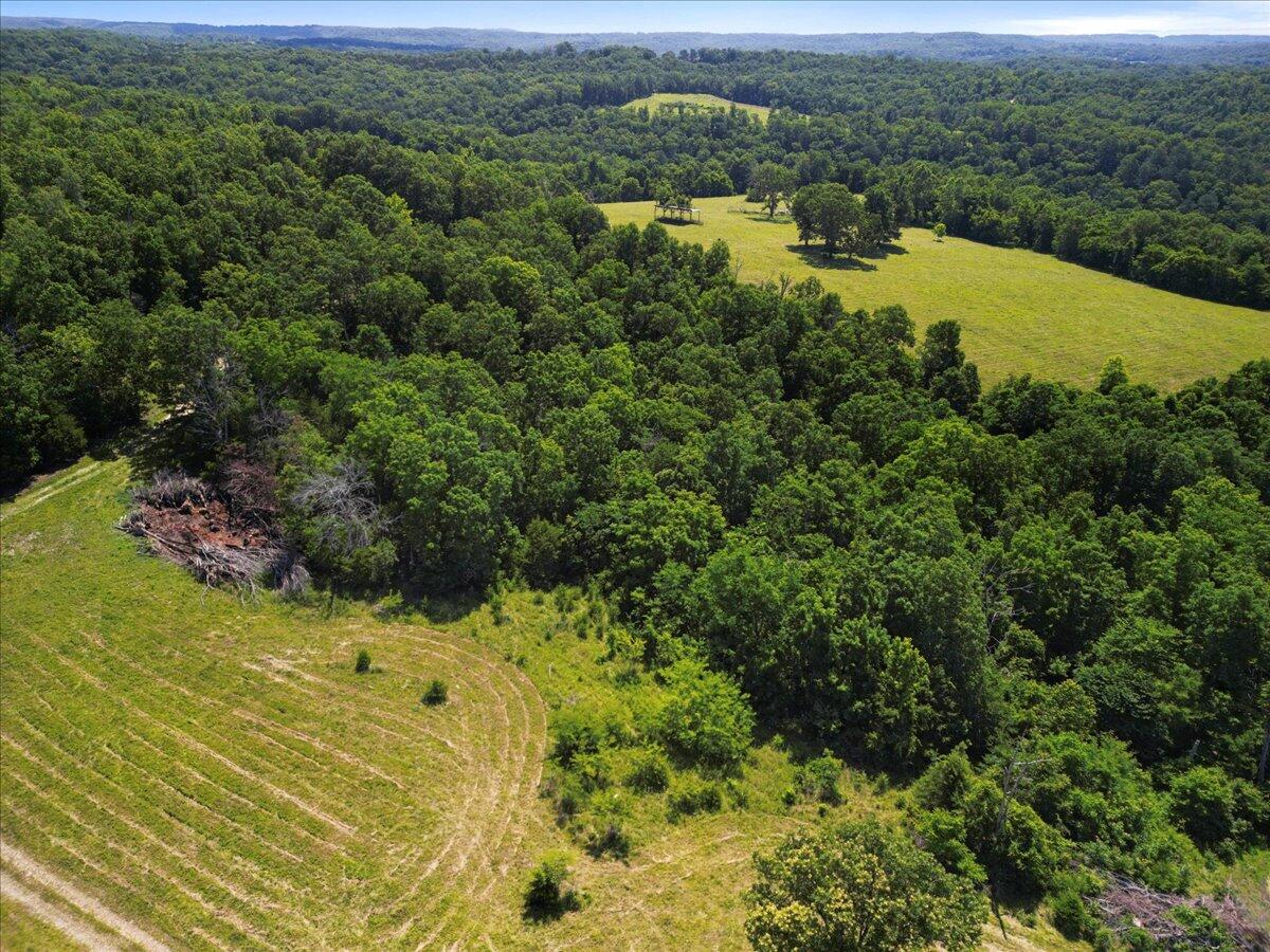 000 County Road 76-114 Property Photo 12