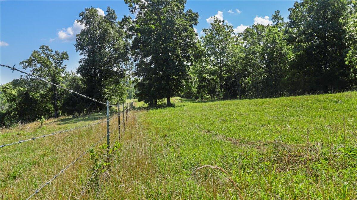 000 County Road 76-114 Property Photo 14