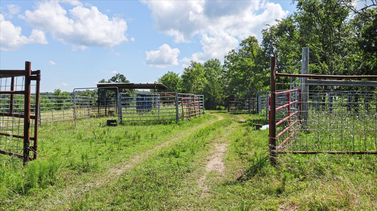000 County Road 76-114 Property Photo 15