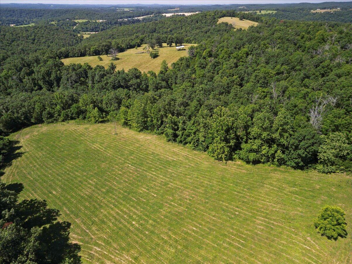 000 County Road 76-114 Property Photo 18