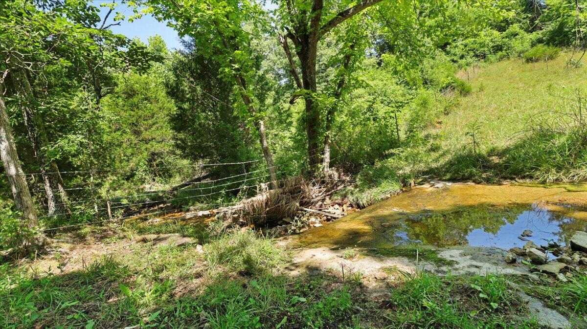 000 County Road 76-114 Property Photo 21