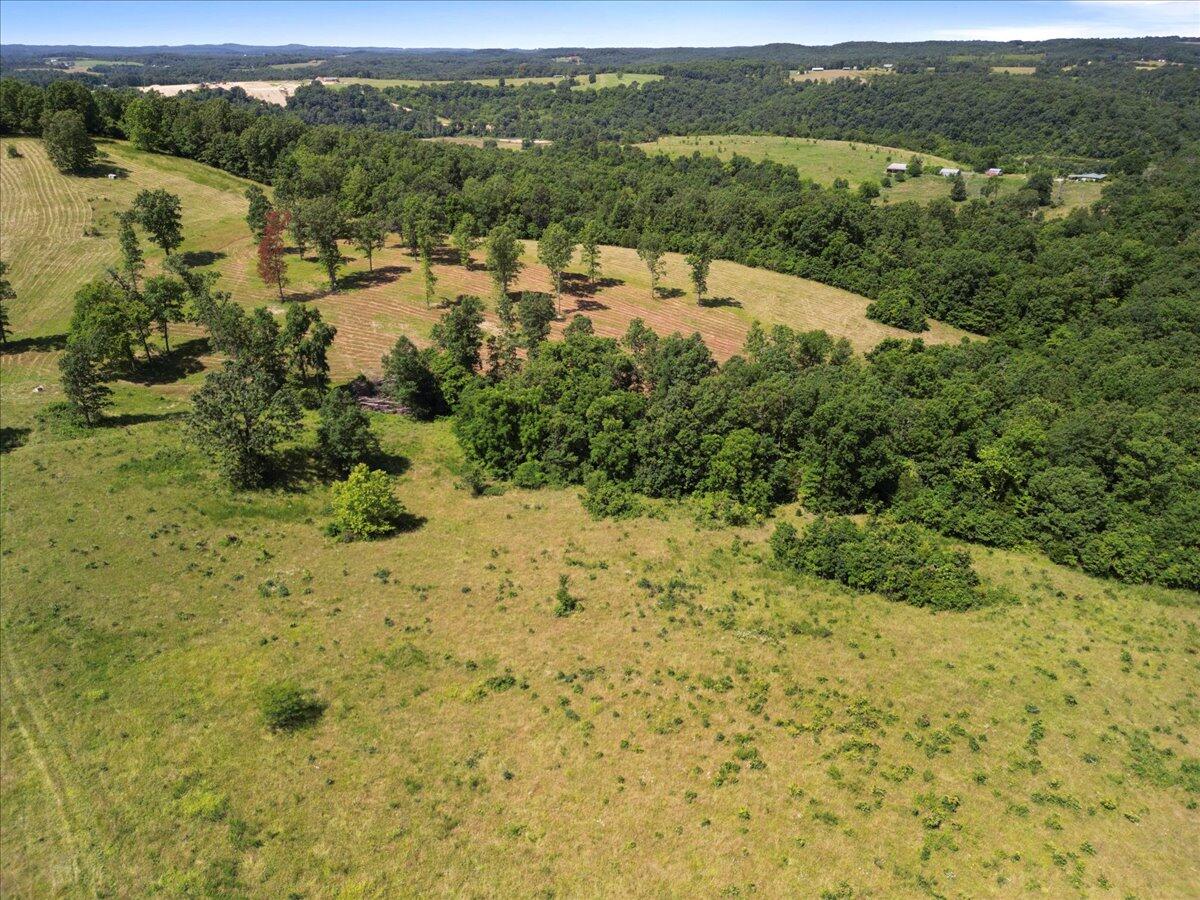 000 County Road 76-114 Property Photo 23