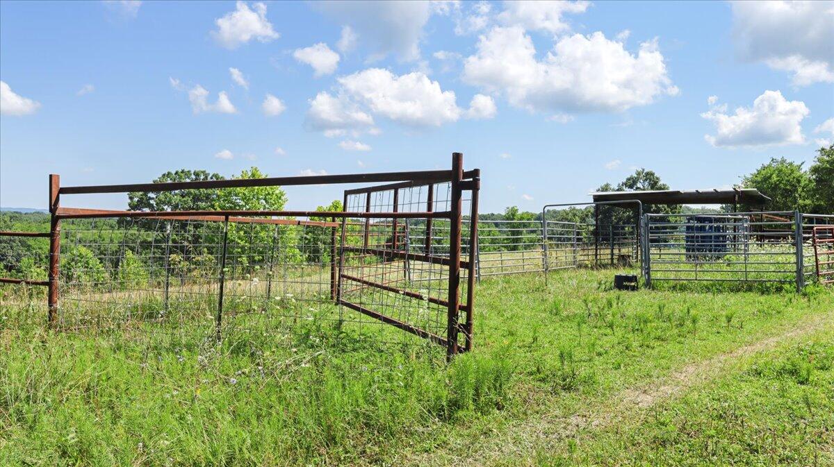 000 County Road 76-114 Property Photo 24