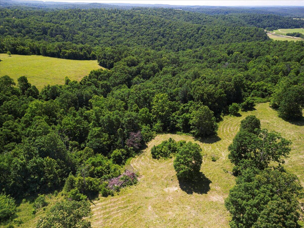 000 County Road 76-114 Property Photo 30
