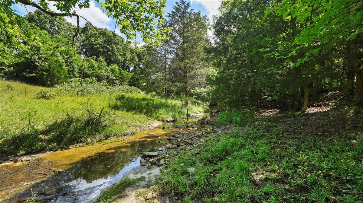 000 County Road 76-114 Property Photo 35