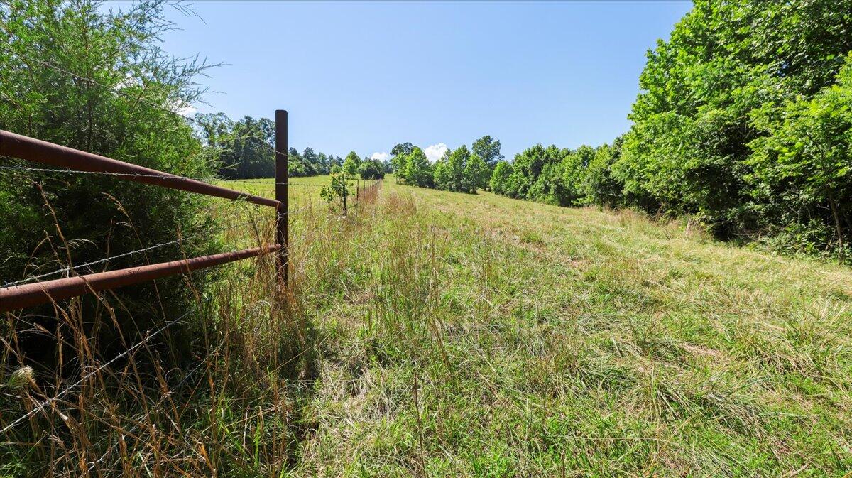 000 County Road 76-114 Property Photo 37