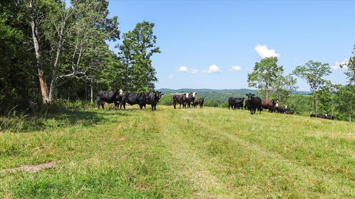 000 County Road 76-114 Property Photo 40