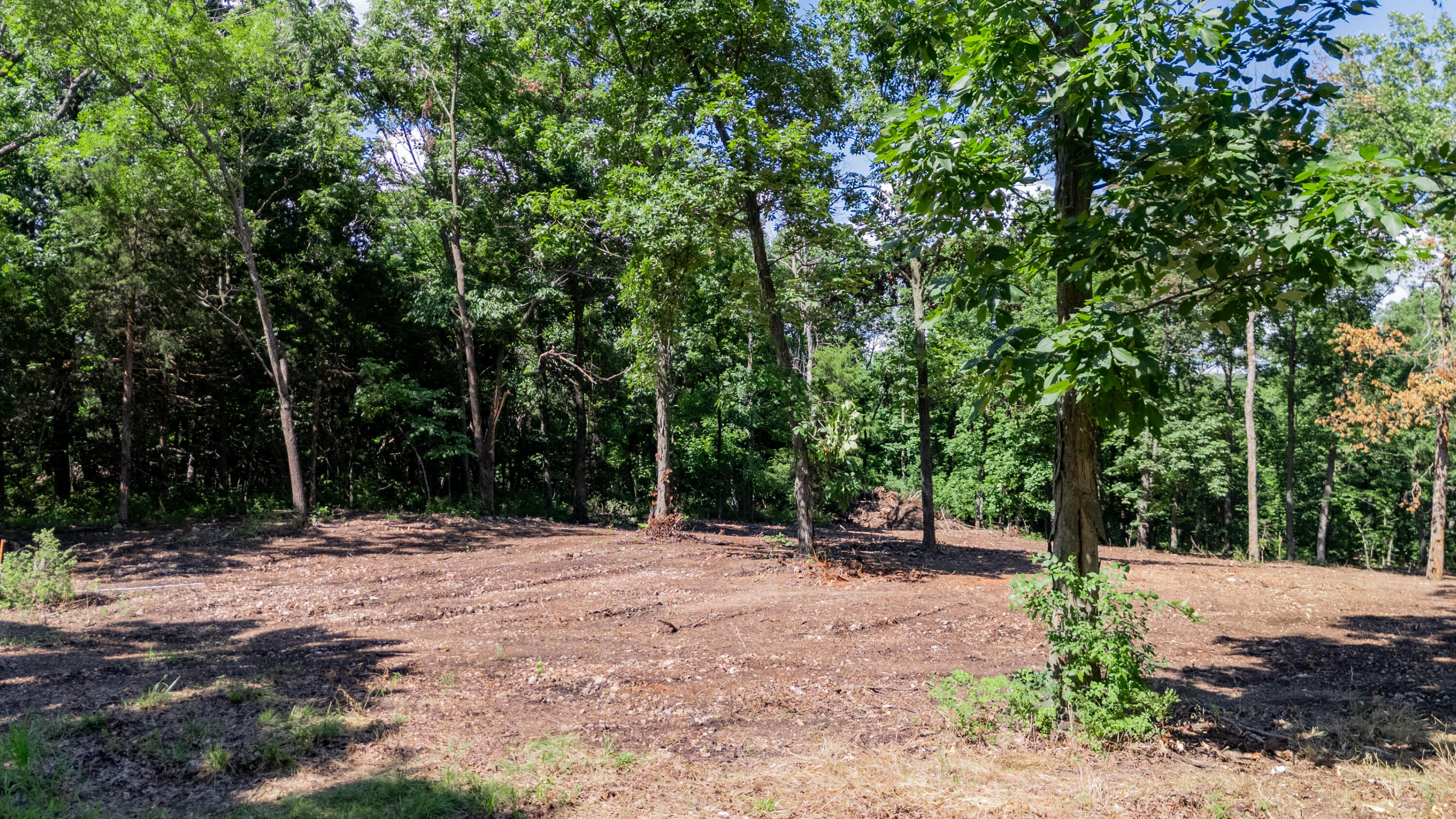 Lot 3 & 4 East 419th Road Property Photo 8