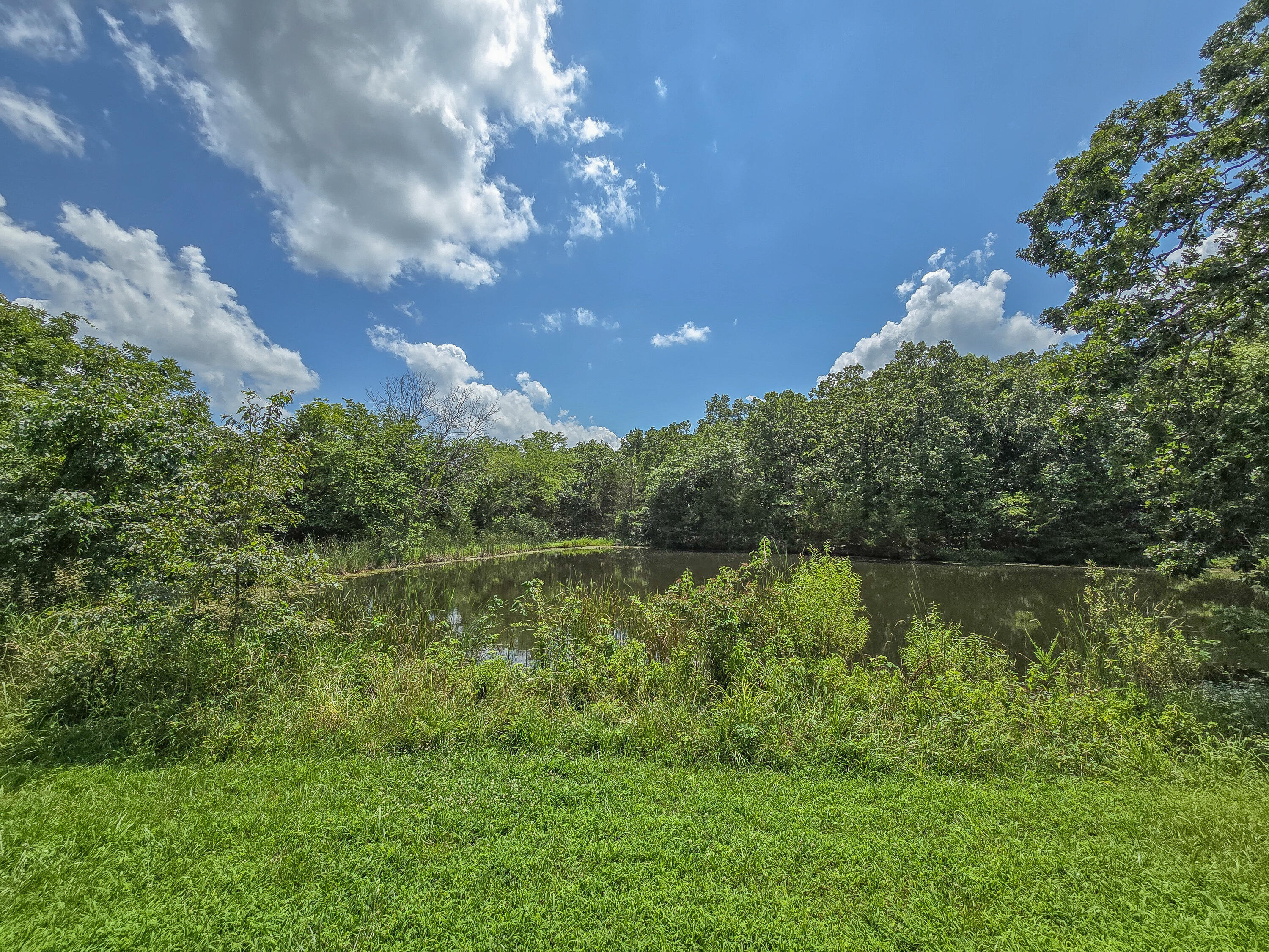 22610 County Road 286 Property Photo 1