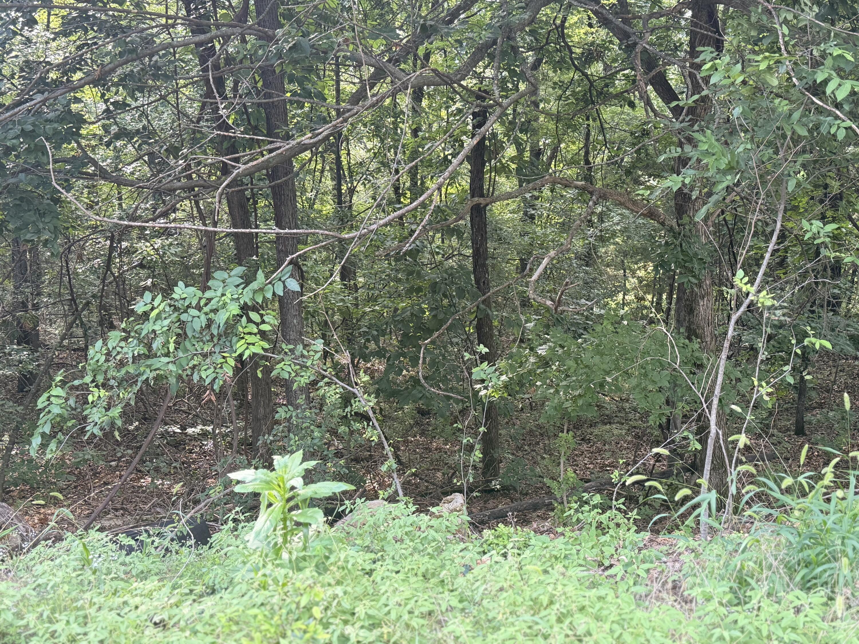 350 Emerald Isle Drive Property Photo 3