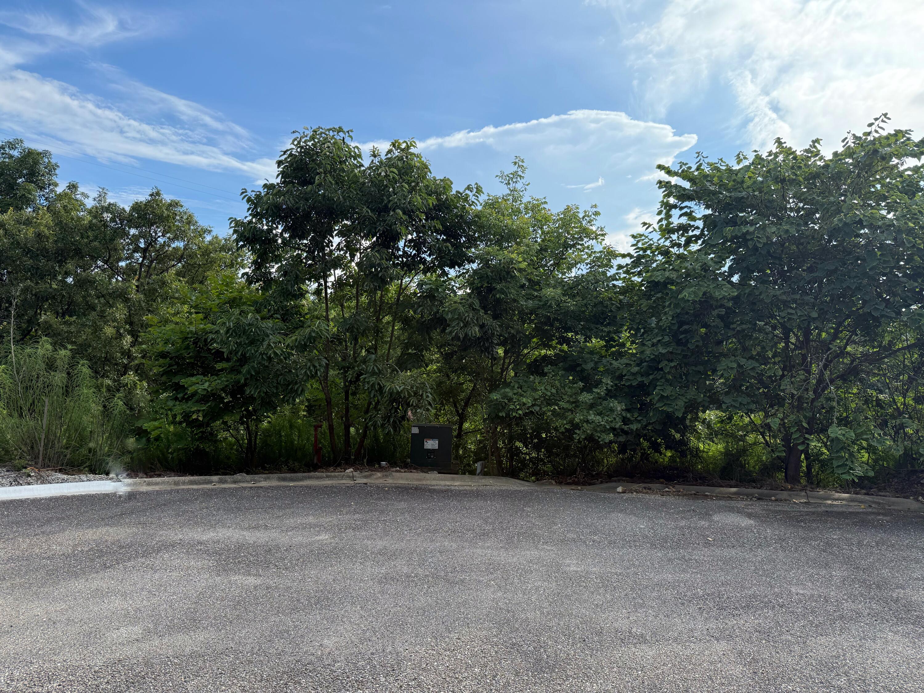 347 Lake Cove Circle Property Photo 3