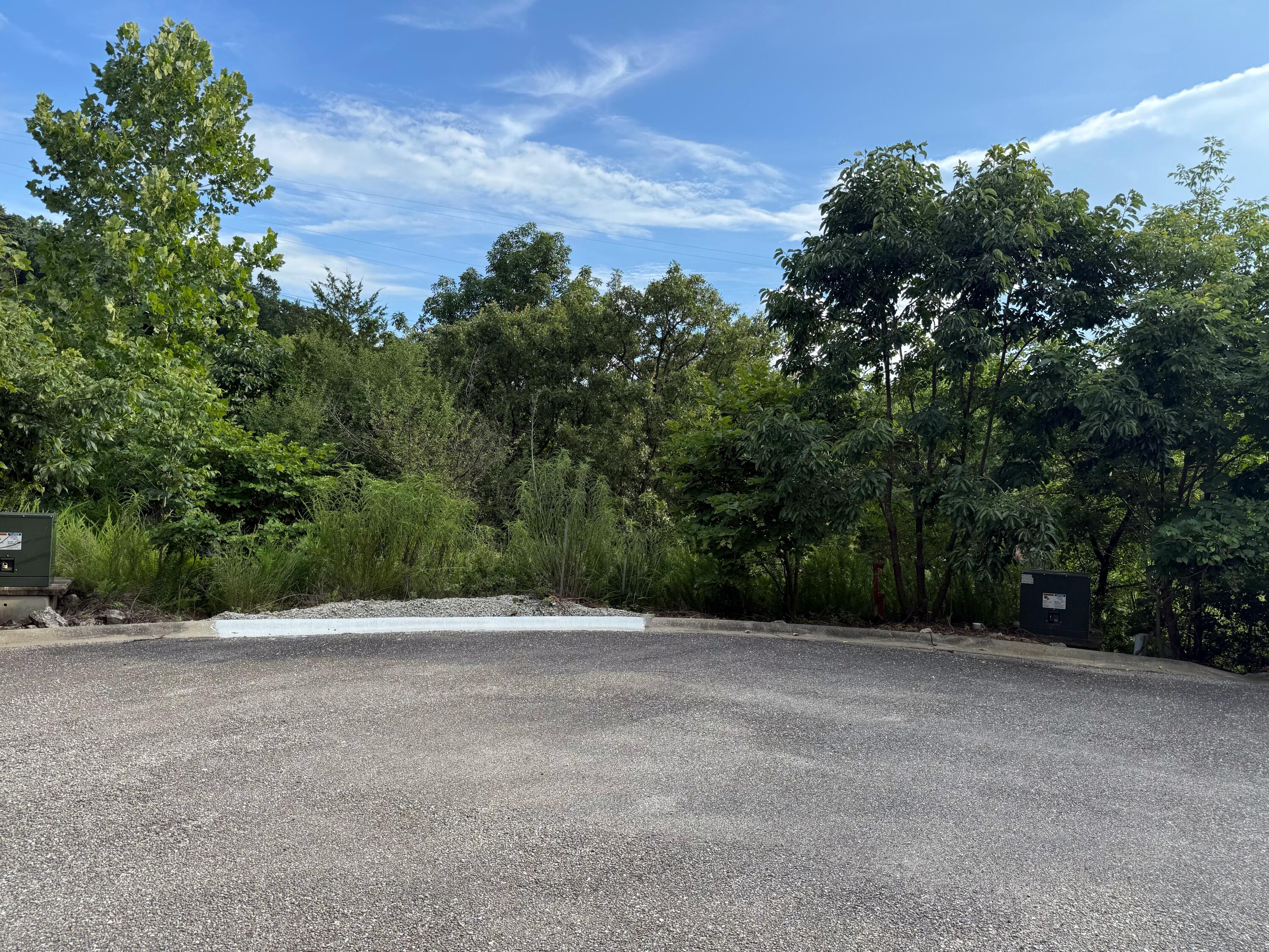 347 Lake Cove Circle Property Photo 4