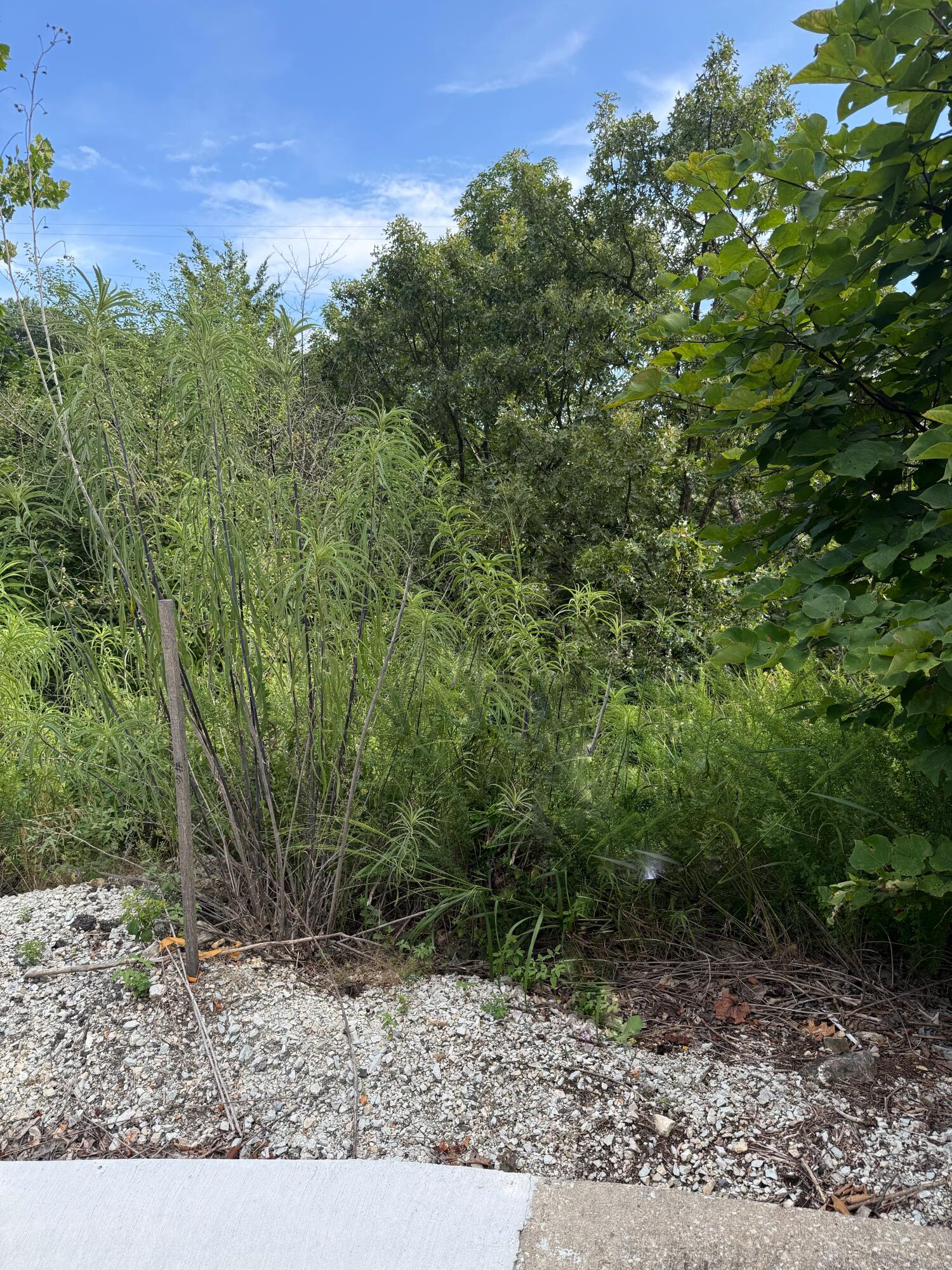 347 Lake Cove Circle Property Photo 5