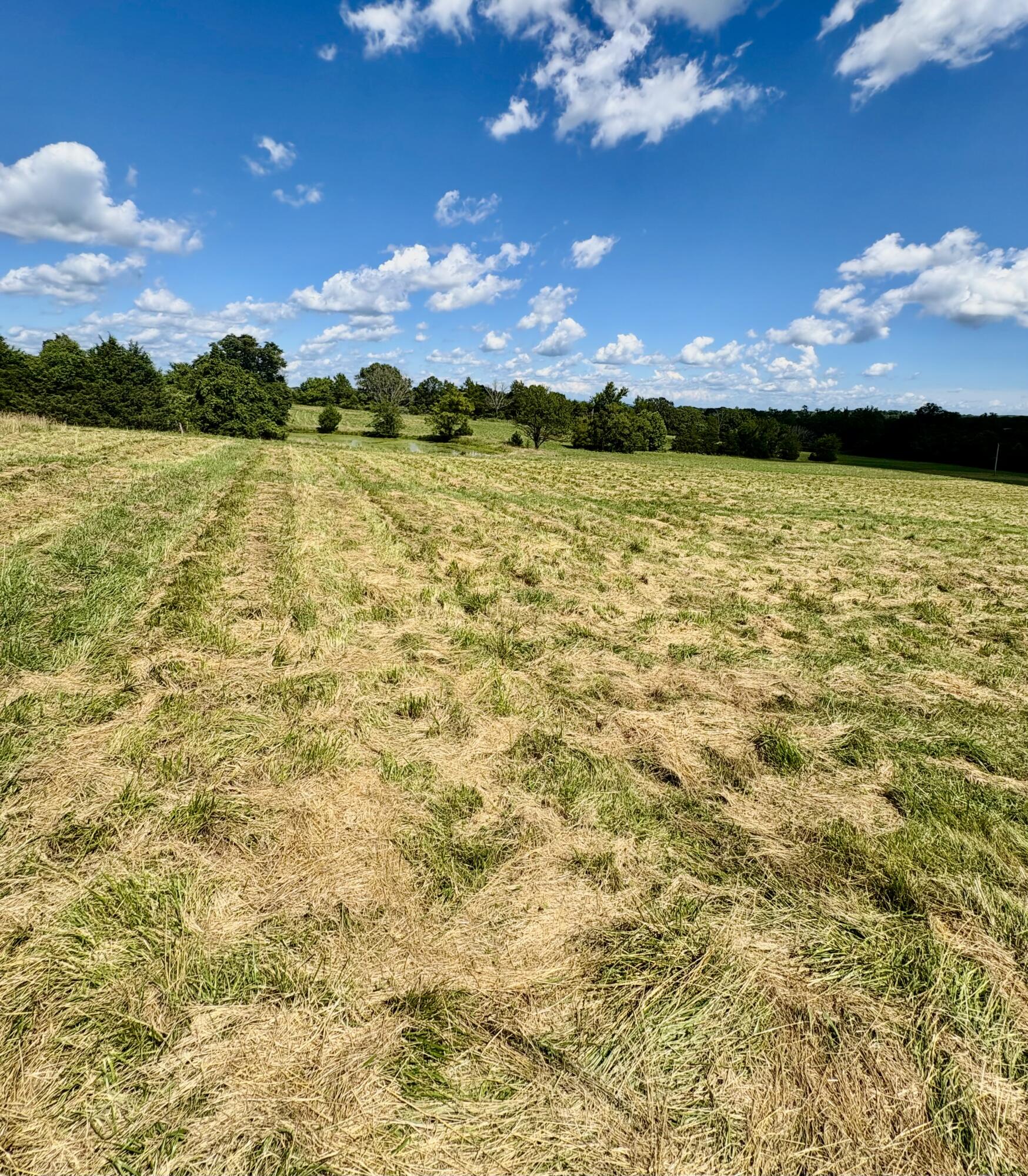 001 Tbd County Road 900 Property Photo 2