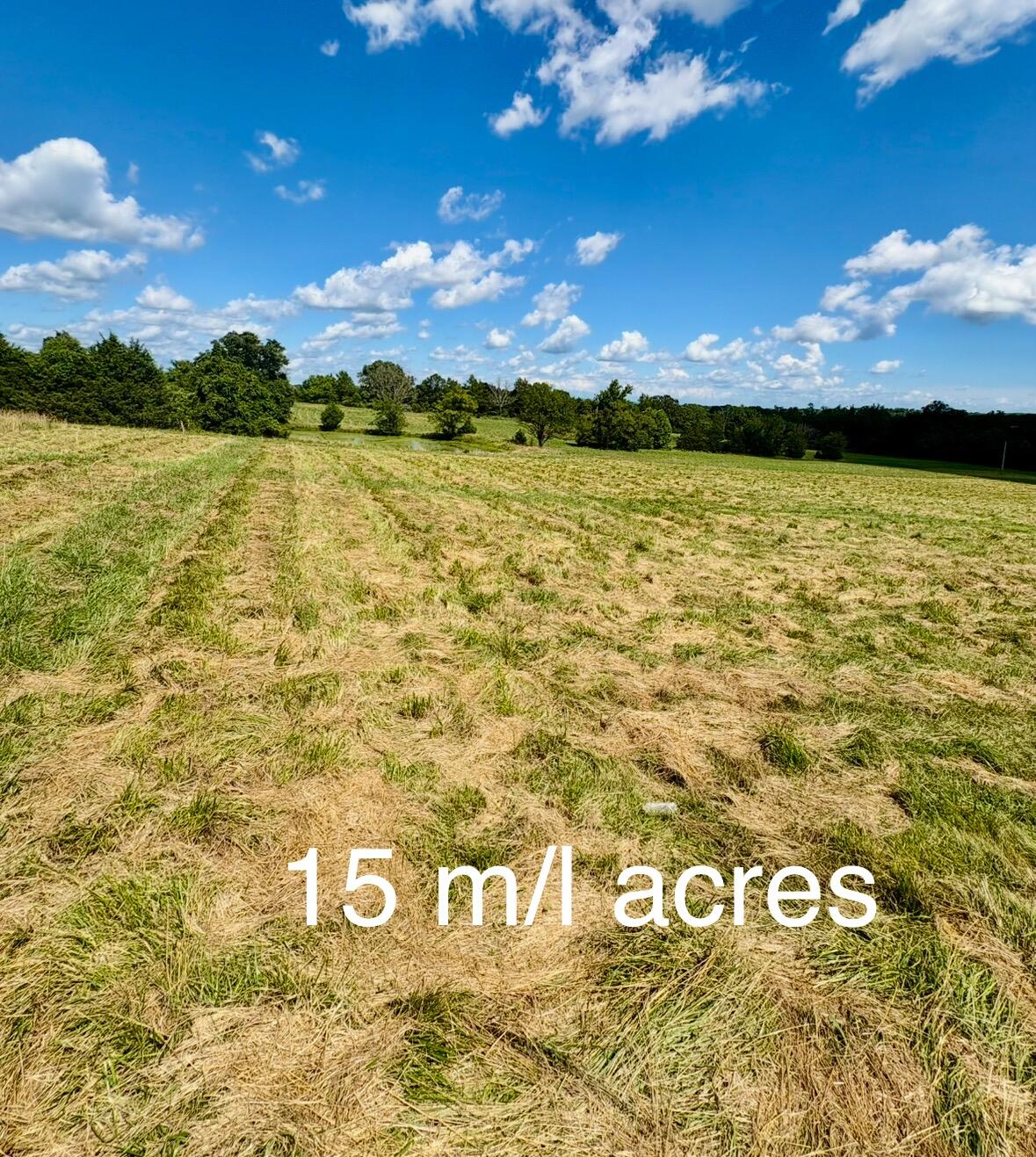 001 Tbd County Road 900 Property Photo 3