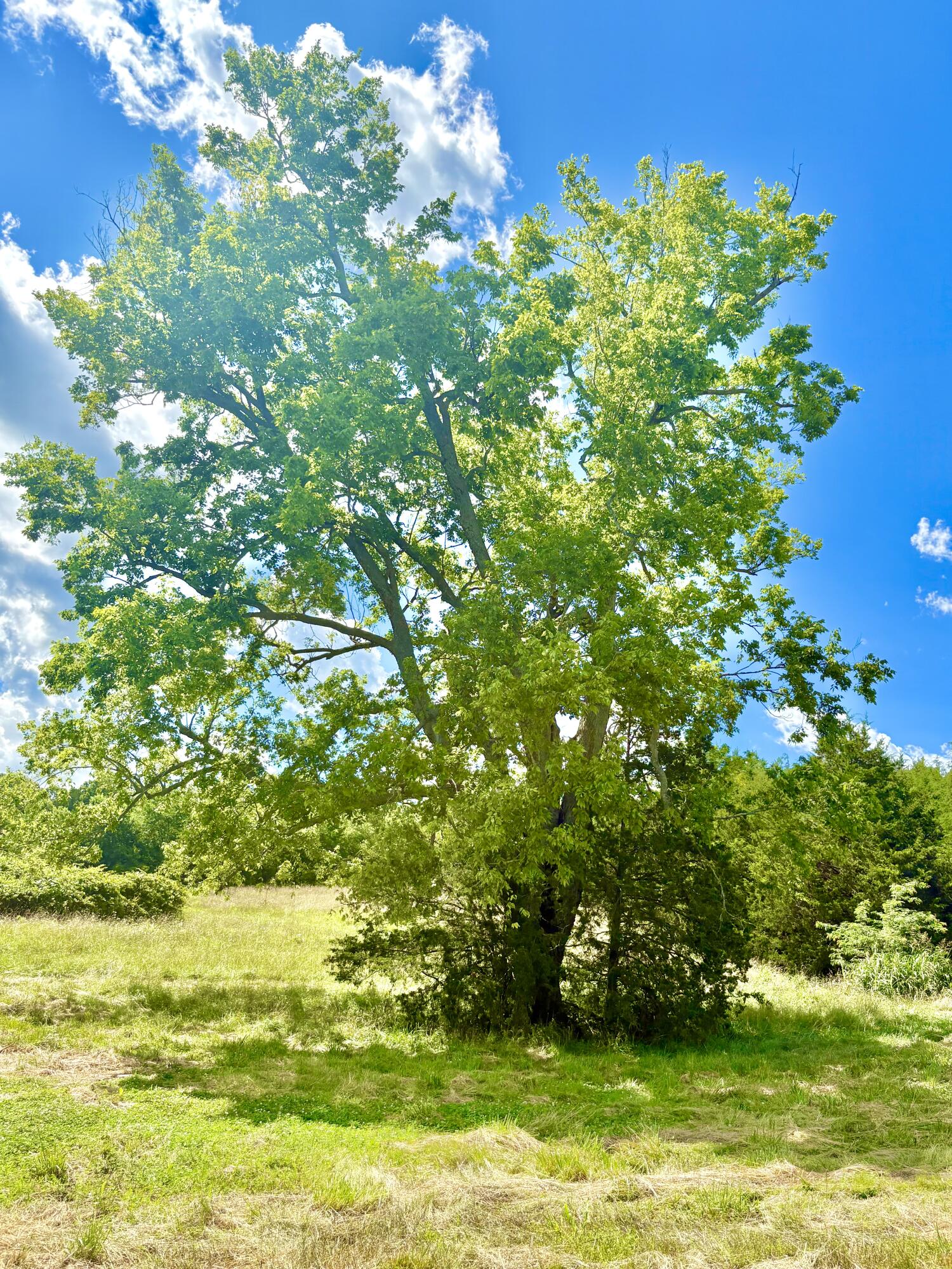 001 Tbd County Road 900 Property Photo 10