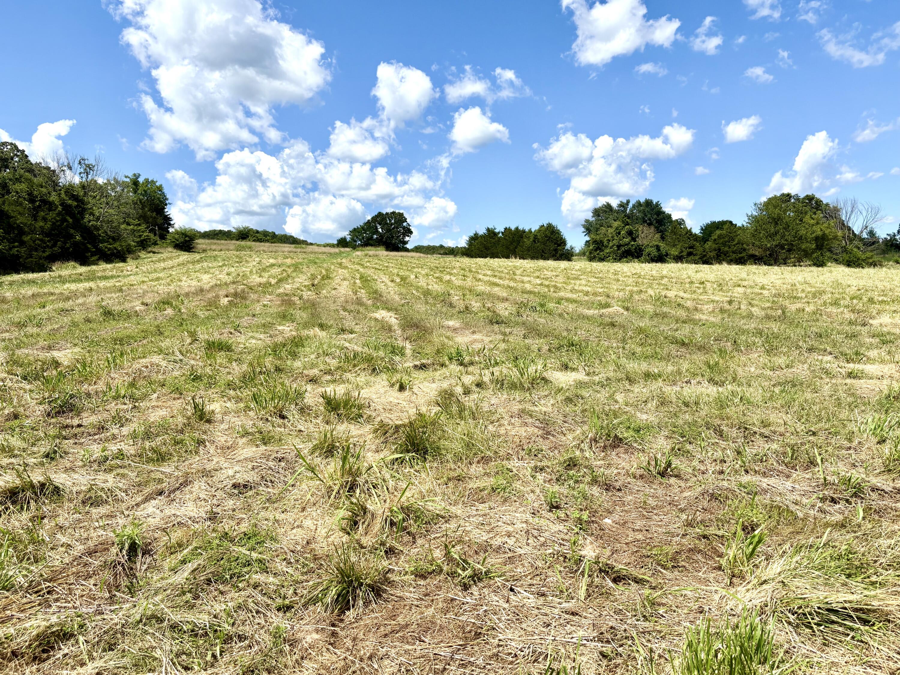 001 Tbd County Road 900 Property Photo 12