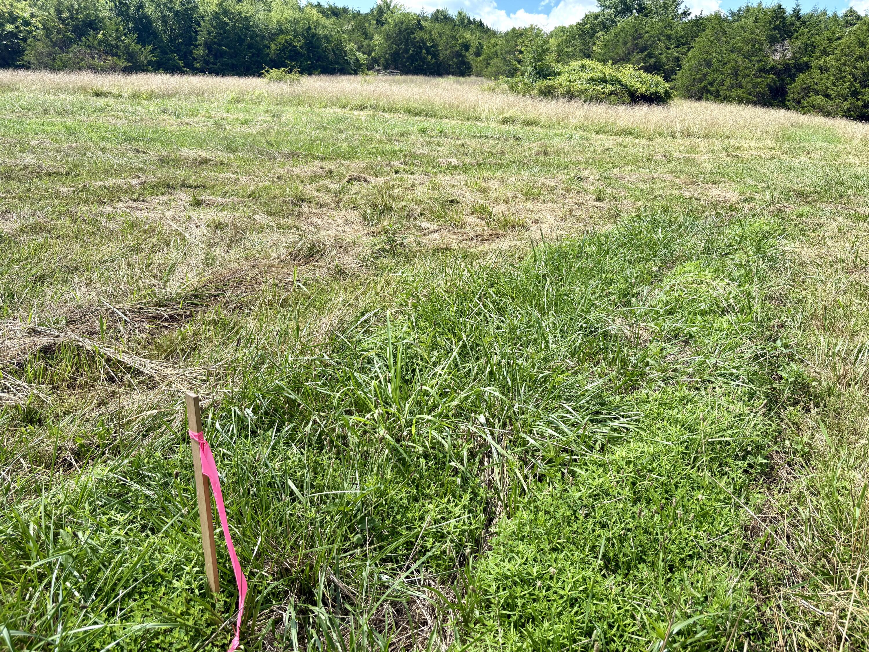 001 Tbd County Road 900 Property Photo 13
