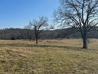 000 South 95 Highway Property Photo 1