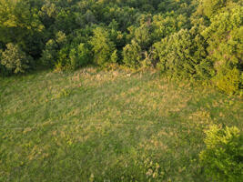 1150 Northeast 95th Road Property Photo 2