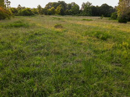 1150 Northeast 95th Road Property Photo 7