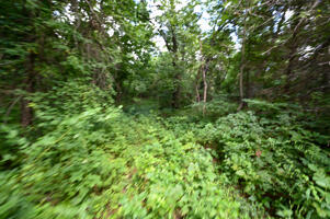 1150 Northeast 95th Road Property Photo 22