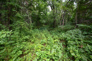 1150 Northeast 95th Road Property Photo 25