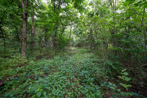 1150 Northeast 95th Road Property Photo 26